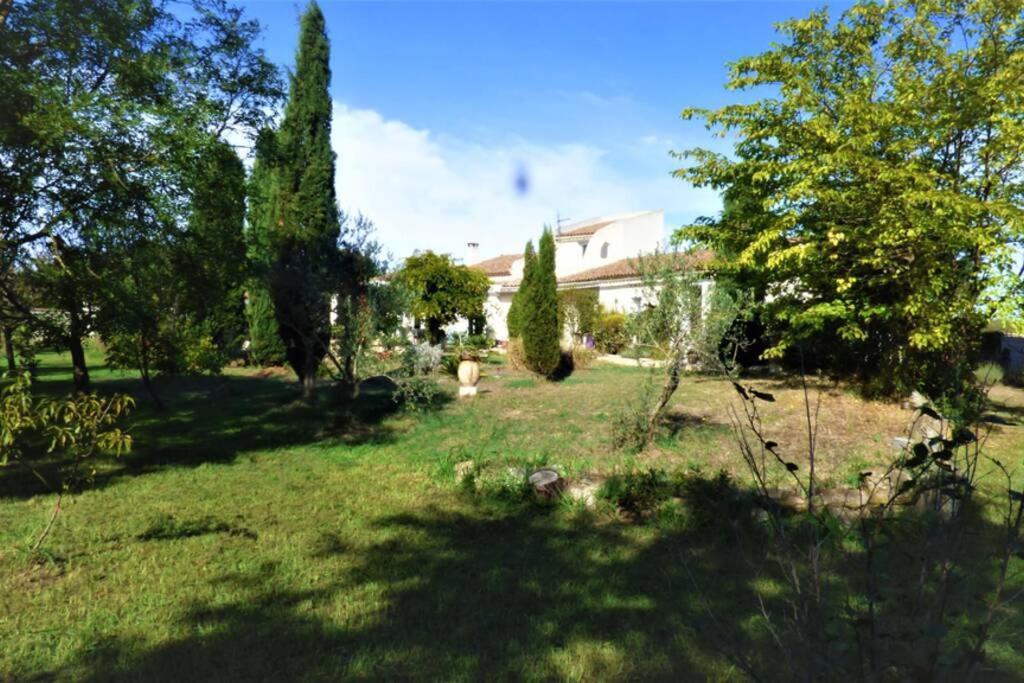 Ibis - Villa Avec Piscine, Jardin Et Parking Arles Exteriér fotografie