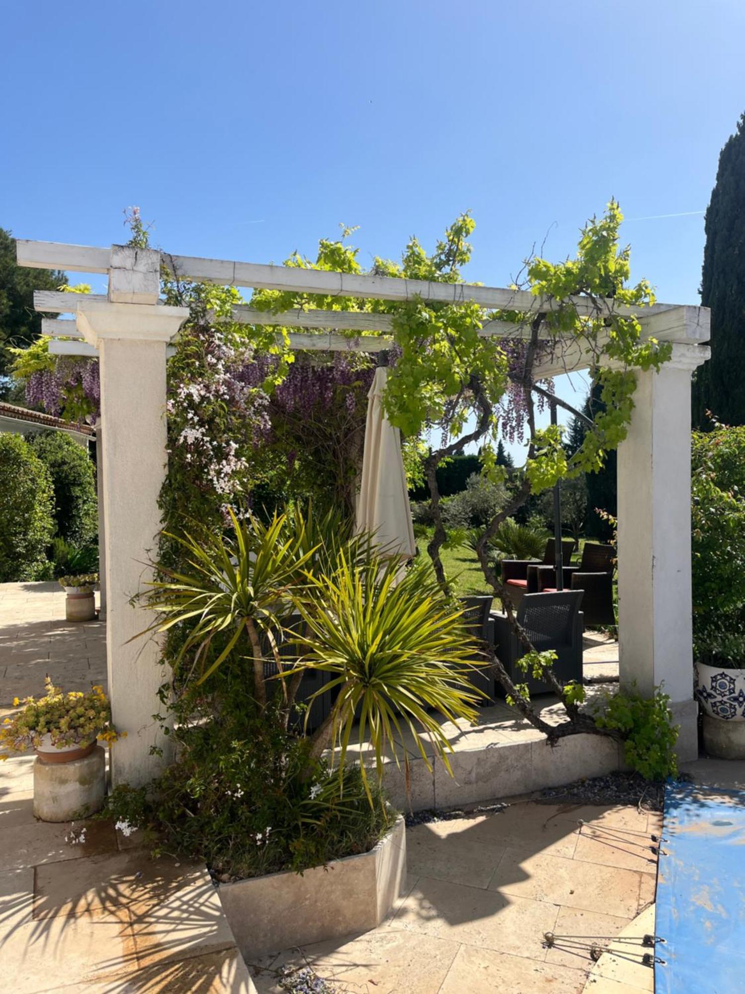 Ibis - Villa Avec Piscine, Jardin Et Parking Arles Exteriér fotografie